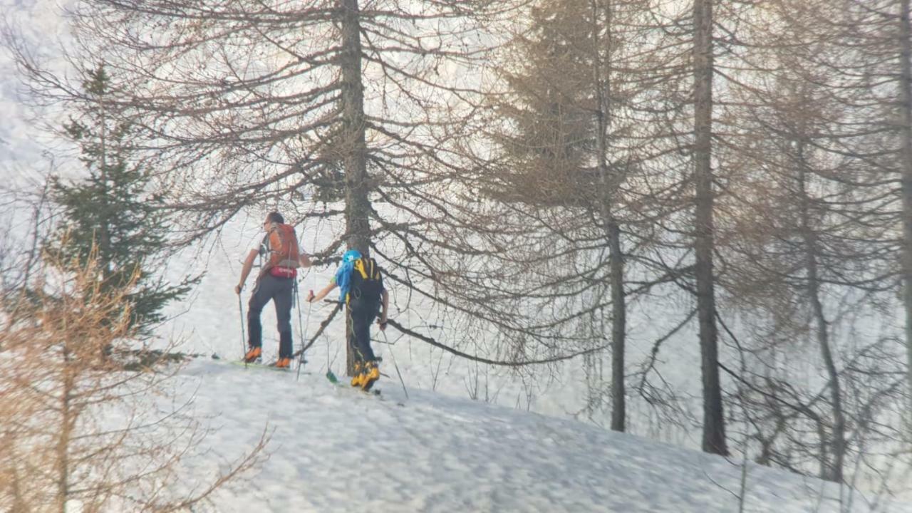 Telemark Mountain Rooms Agordo Dış mekan fotoğraf