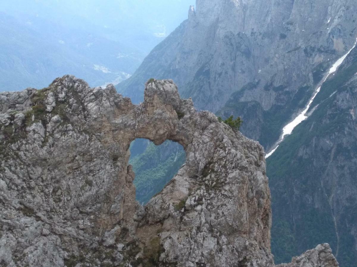 Telemark Mountain Rooms Agordo Dış mekan fotoğraf