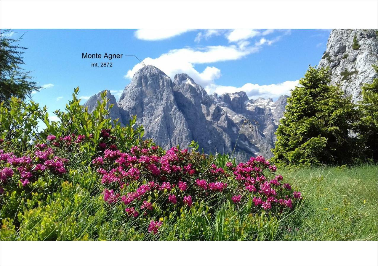 Telemark Mountain Rooms Agordo Dış mekan fotoğraf