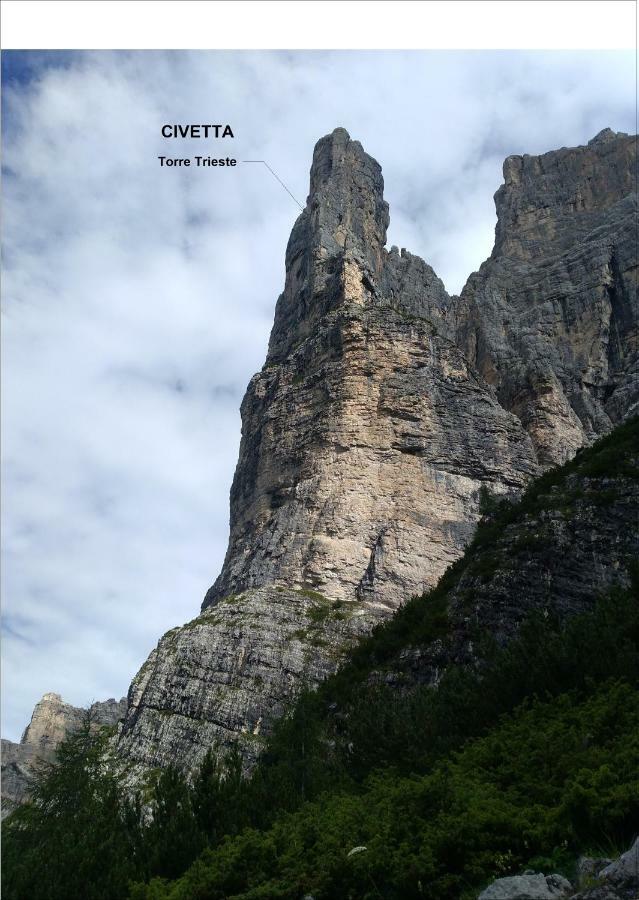 Telemark Mountain Rooms Agordo Dış mekan fotoğraf