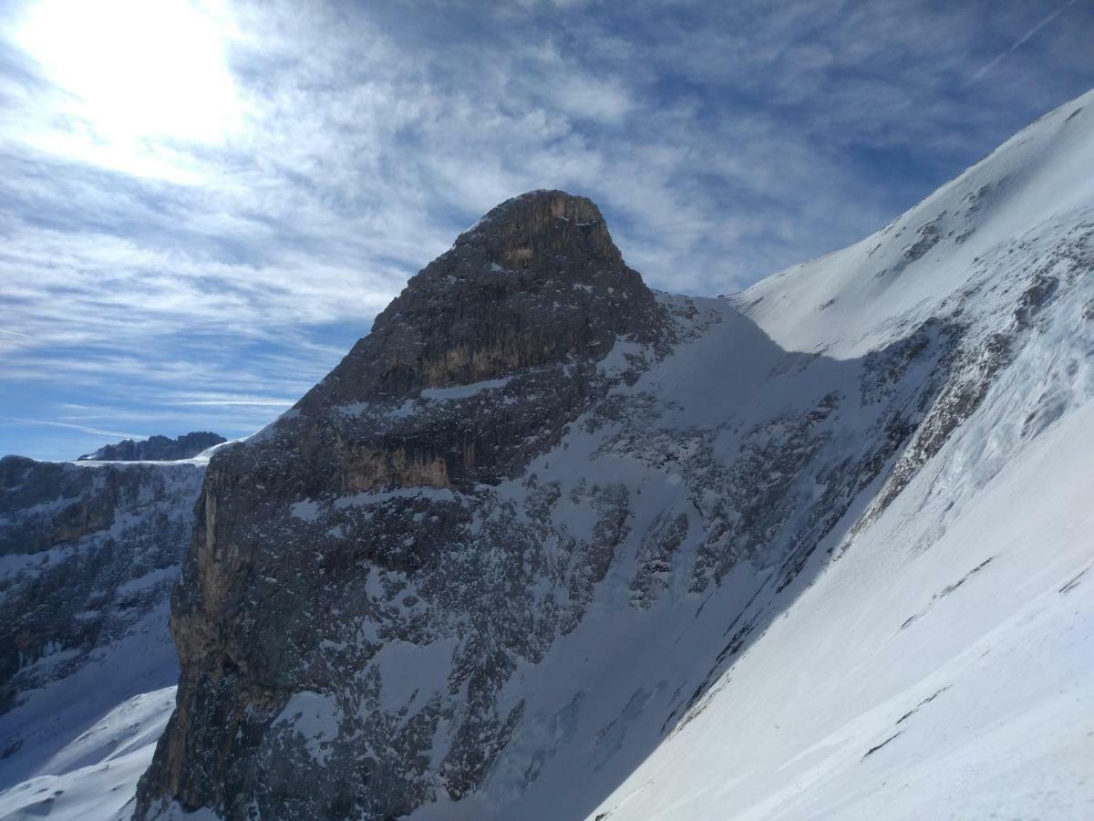 Telemark Mountain Rooms Agordo Dış mekan fotoğraf